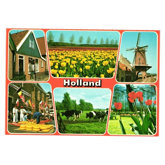 Holland Scenic Postcard Dutch Landmarks Tulips Windmill Cows Lisse Alkmaar - Picture 1 of 2